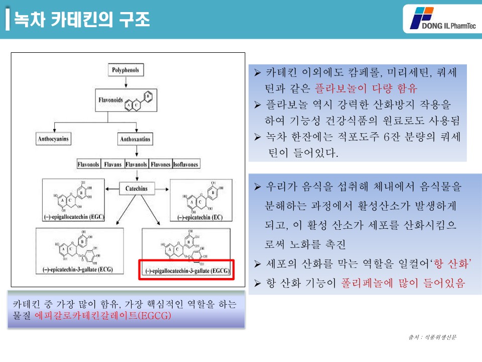 녹차추출물 제품소개서_9.jpg