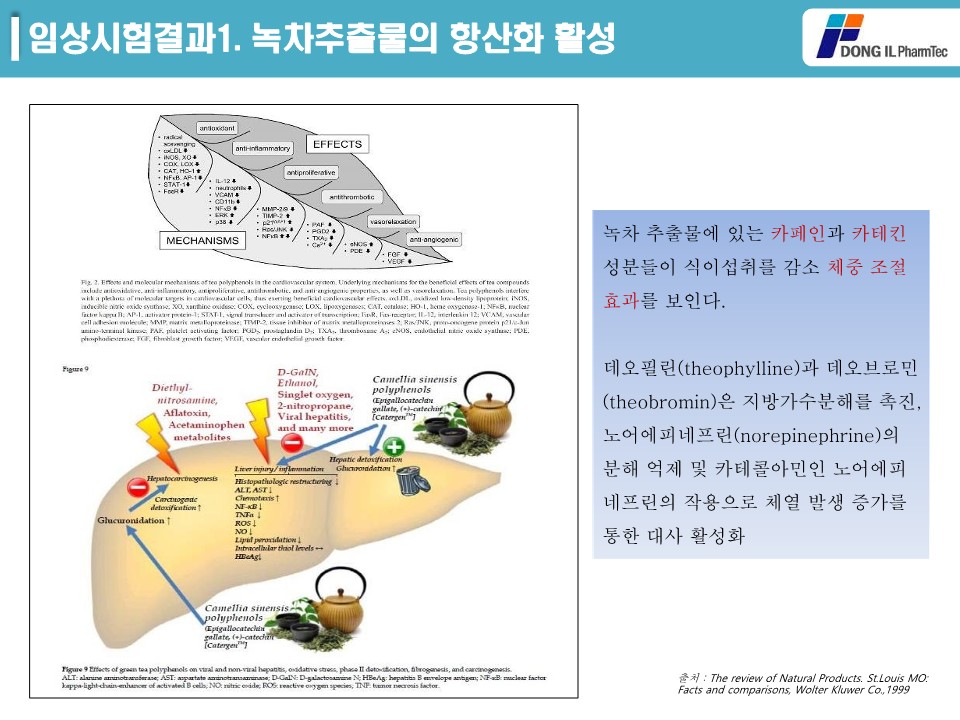 녹차추출물 제품소개서_11.jpg
